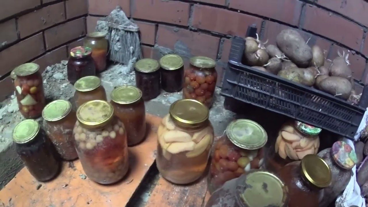 Дачники розповіли, як правильно боротися із вологістю і конденсатом у погребі