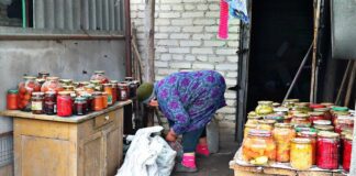 Дачники розповіли, як правильно боротися із вологістю і конденсатом у погребі