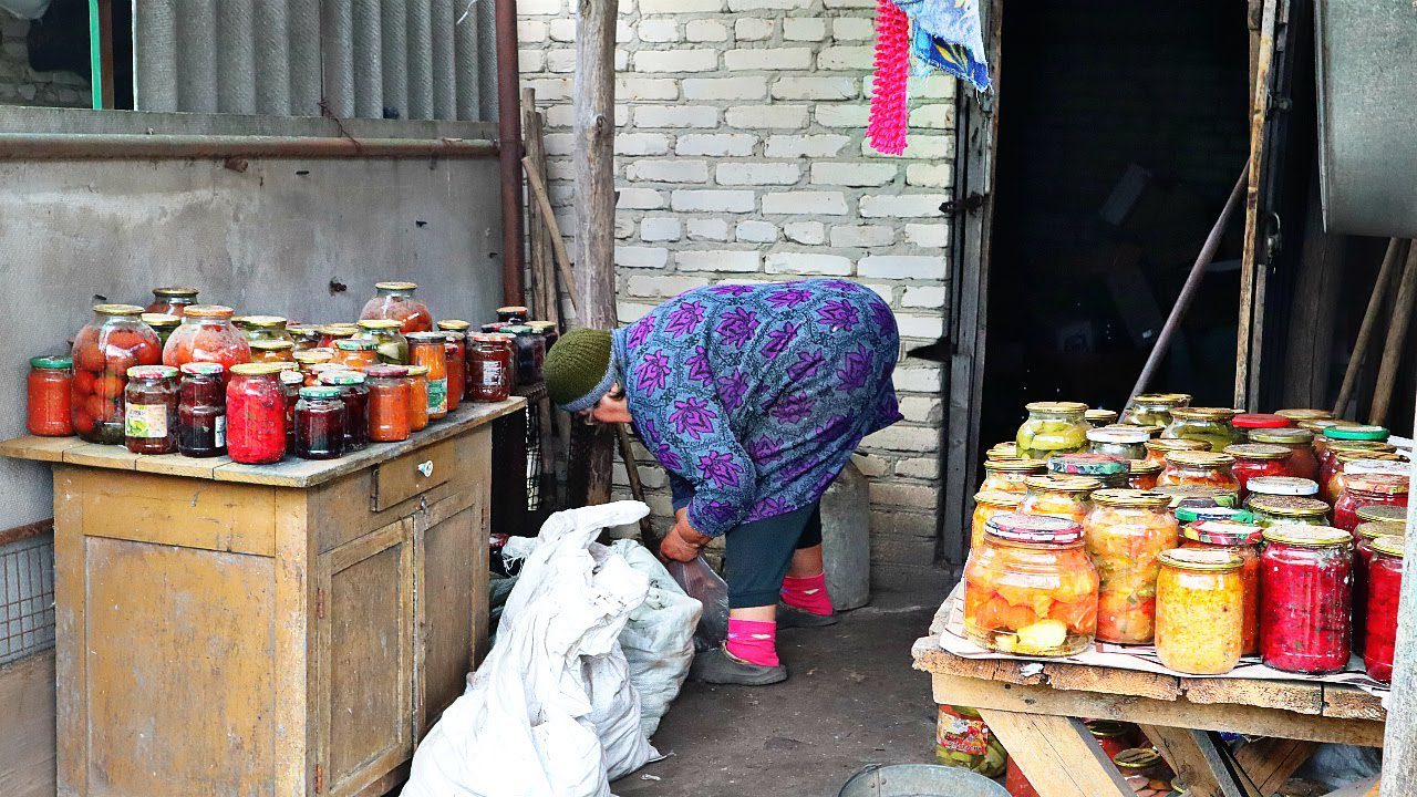 Дачники розповіли, як правильно боротися із вологістю і конденсатом у погребі