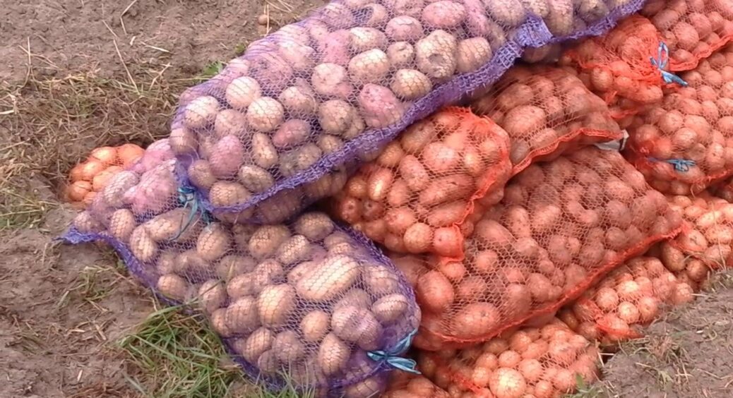 Поставила сітку з цибулею на стару газету: і ні вологи, ні гнилі, хоча умови зберігання далекі від ідеальних 