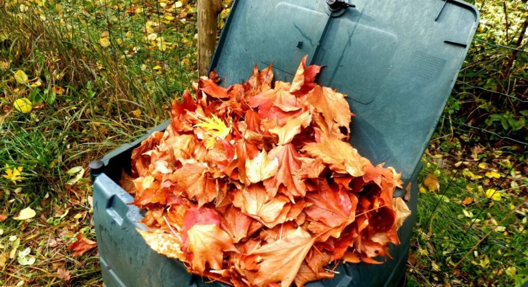 Хворе бадилля не спалюю – кладу в купу з 1 добавкою, і через місяць це ідеальний компост без патогенів 