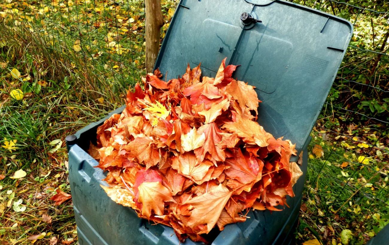 Експерти розповіли, як правильно компостувати рослинні залишки 