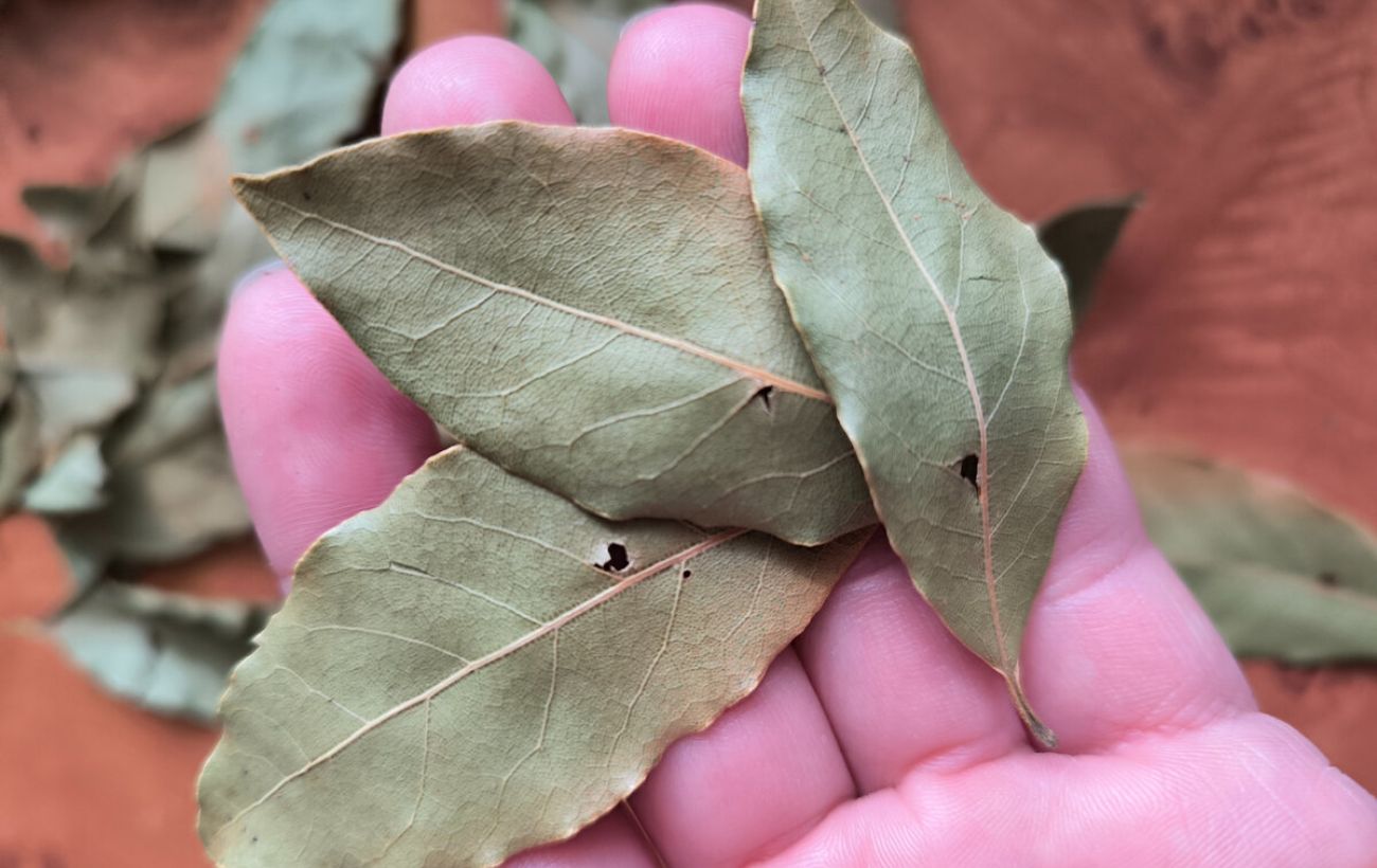 Як позбутись від неприємного аромату вдома