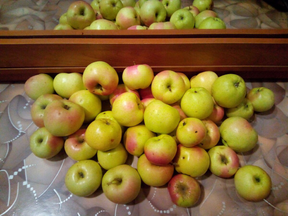 Господині пояснили, як правильно зберігати яблука взимку 