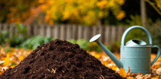 Городники поділились секретом швидкого приготування компосту