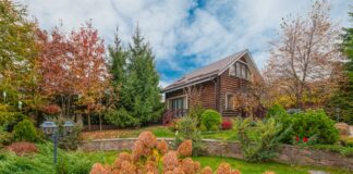 Садівники розповіли про помилки осінньої обрізки лаванди та гортензії