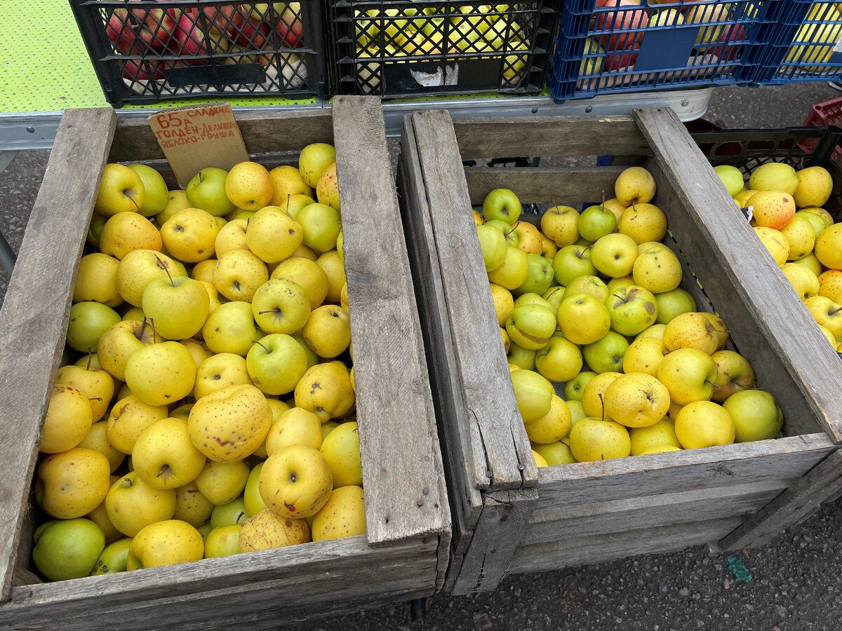 Експерти розповіли, як правильно зберігати яблука, аби вони довго лежали та не псувались