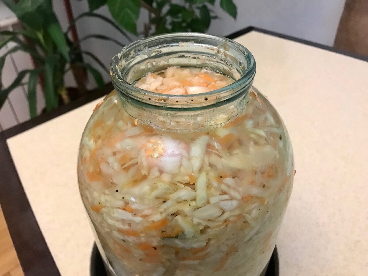 Експерти порадили, як правильно обирати качан капусти для квашення – головні ознаки