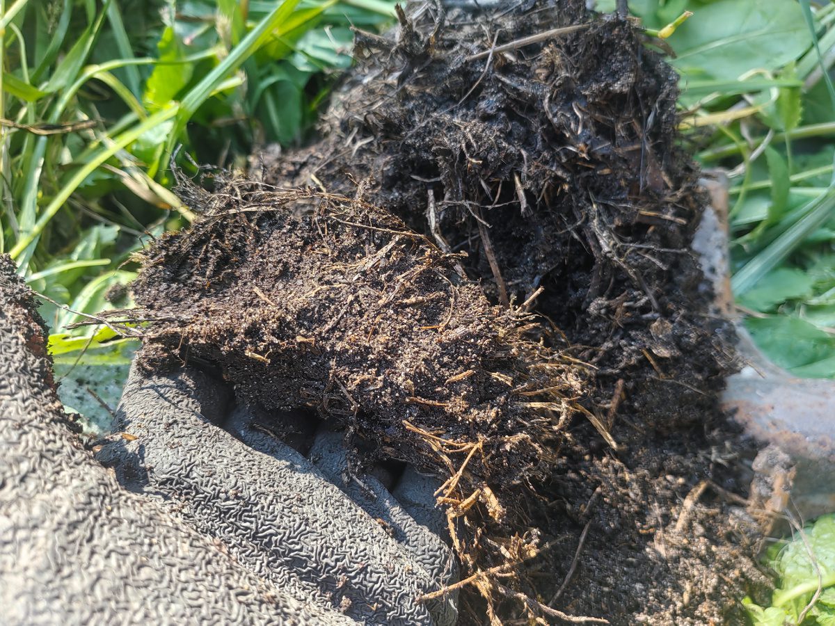 Експерти розповіли, як правильно закладати компостну купу 