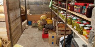 Господині розповіли, як позбутися цвілі у погребі