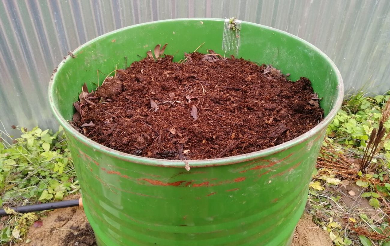 Експерти розповіли, як пришвидшити перегнивання компостної купи