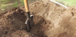 Як відновити ґрунт на ділянці