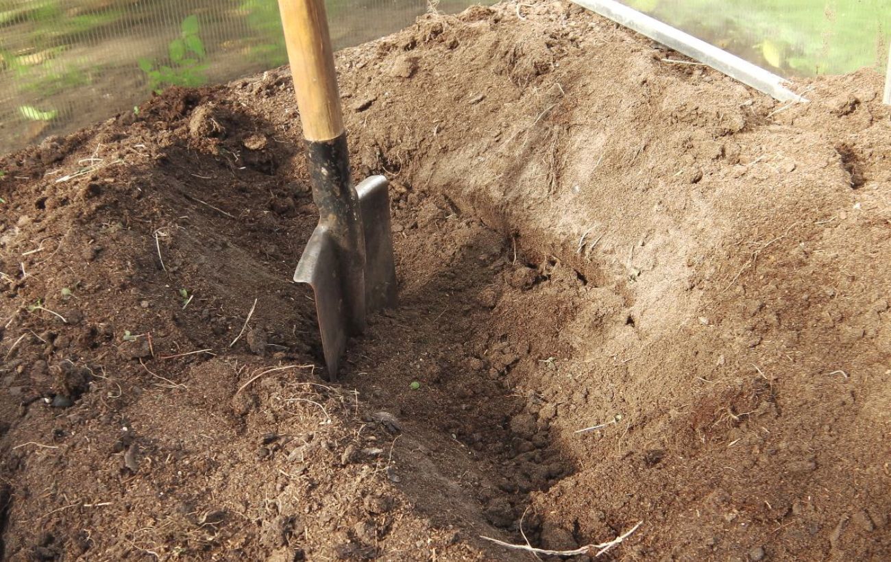 Як відновити ґрунт на ділянці