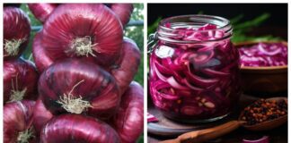 Кулінари поділились турецьким рецептом маринованої червоної цибулі