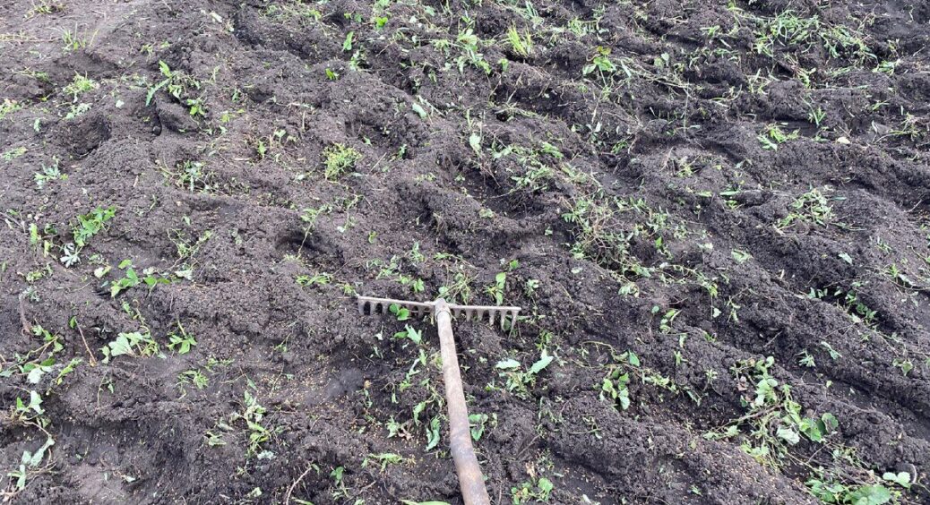 Земля не промерзла – йду сіяти сидерати: при +7°C вони зійдуть самі, а я не лізу в мокрий ґрунт 