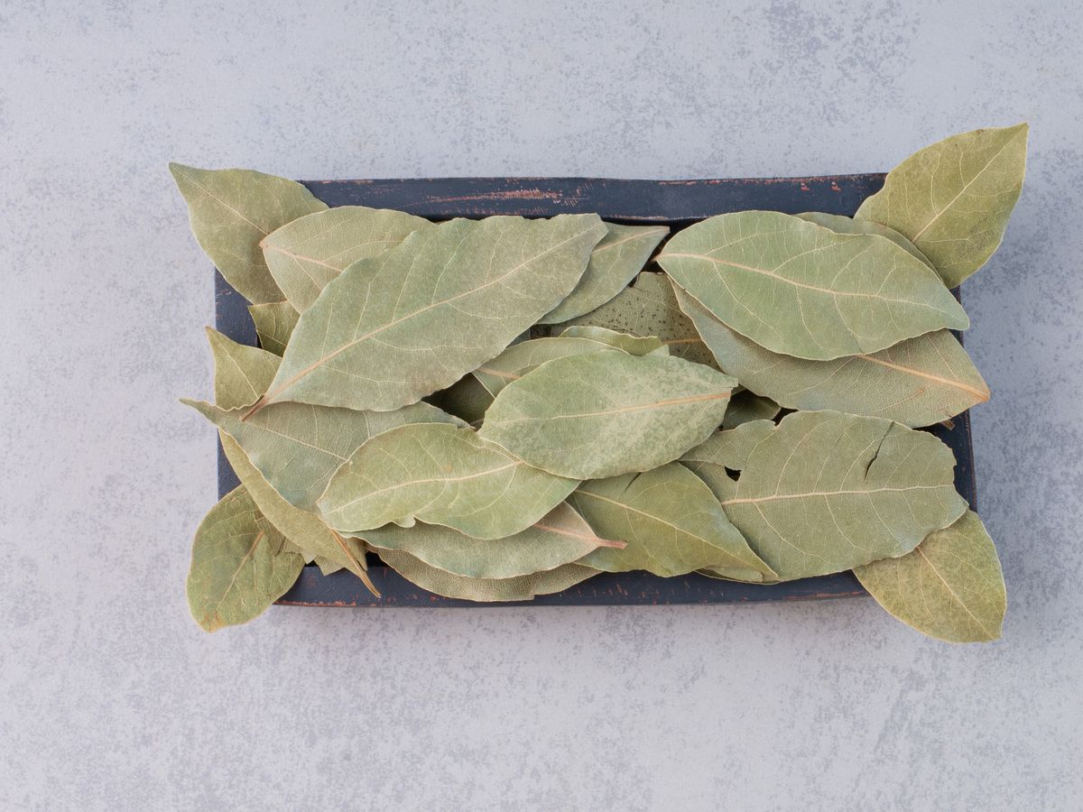 Господині розповіли, навіщо розкладати лаврові листки по квартирі 