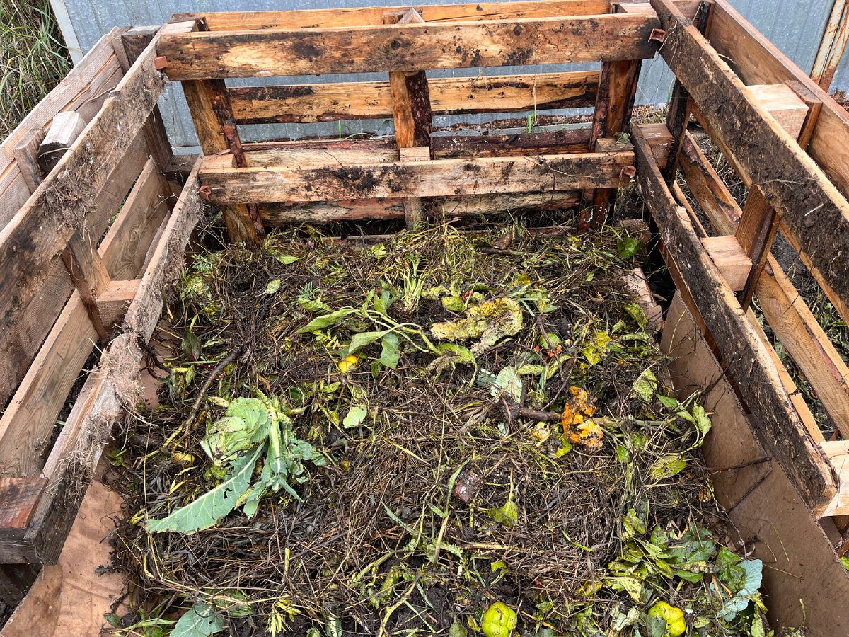 Городники розповіли, чим полити компост, щоб до весни він встиг дозріти 
