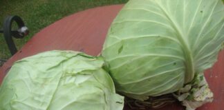 Експерти розповіли про користь овочевого відвару