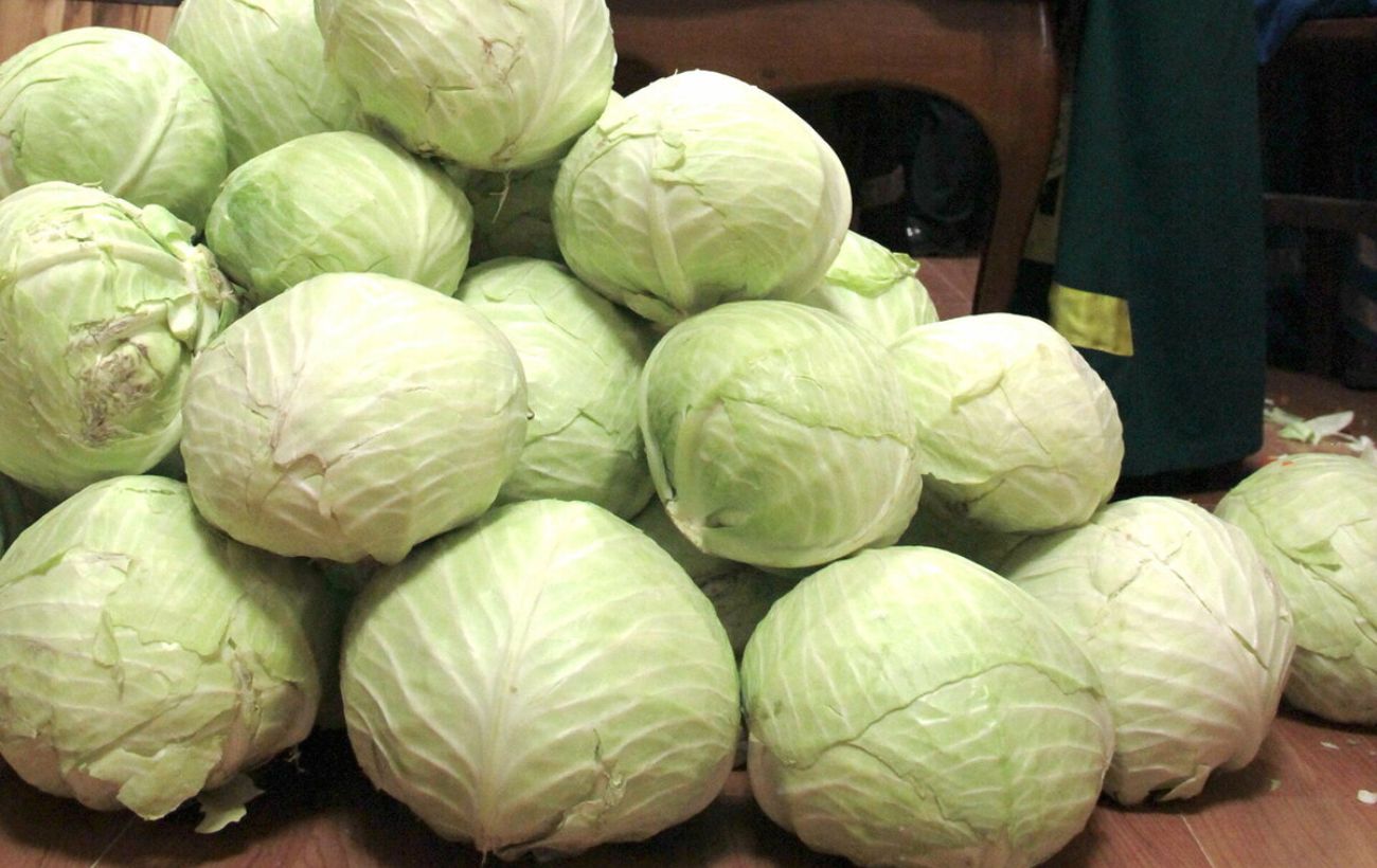 Як зберігати врожай капусти у погребі