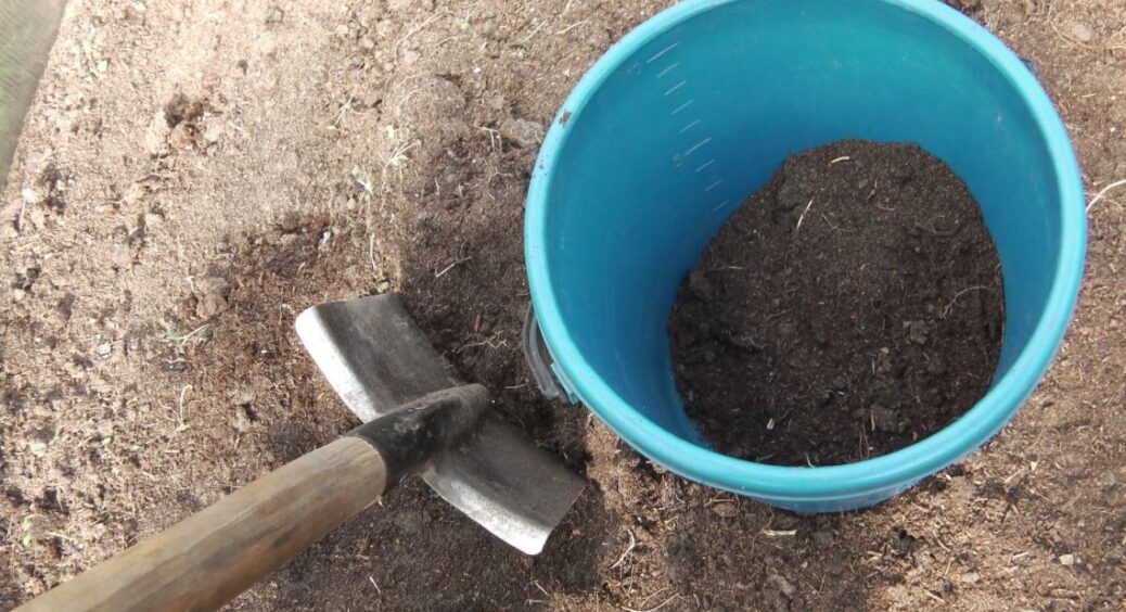 Не використовую гній 5 років – і врожаї лише зростають: сидерати + цей трюк роблять землю пухкою за зиму 