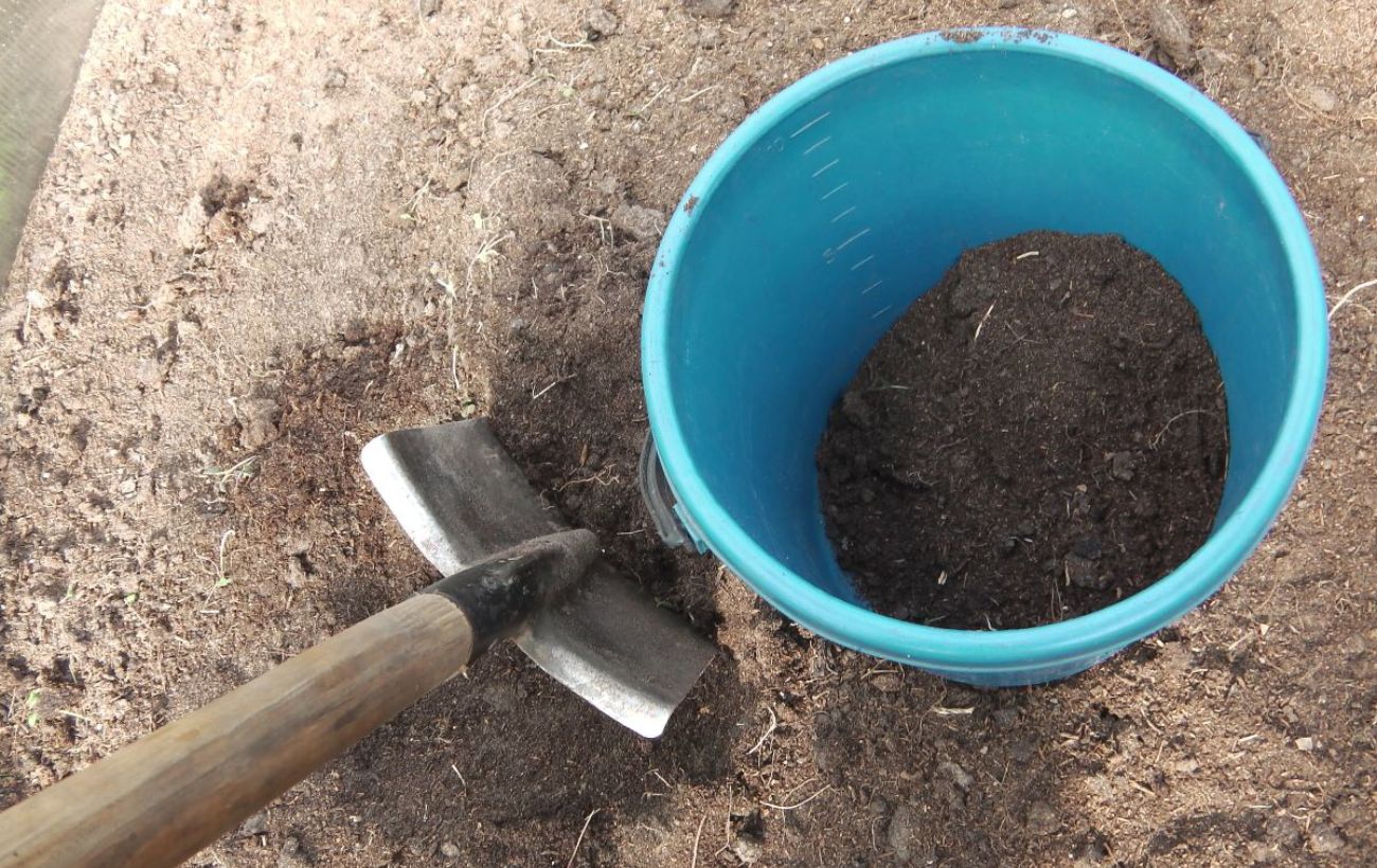 Городники розповіли, чим полити восени ґрунт для збільшення родючості 