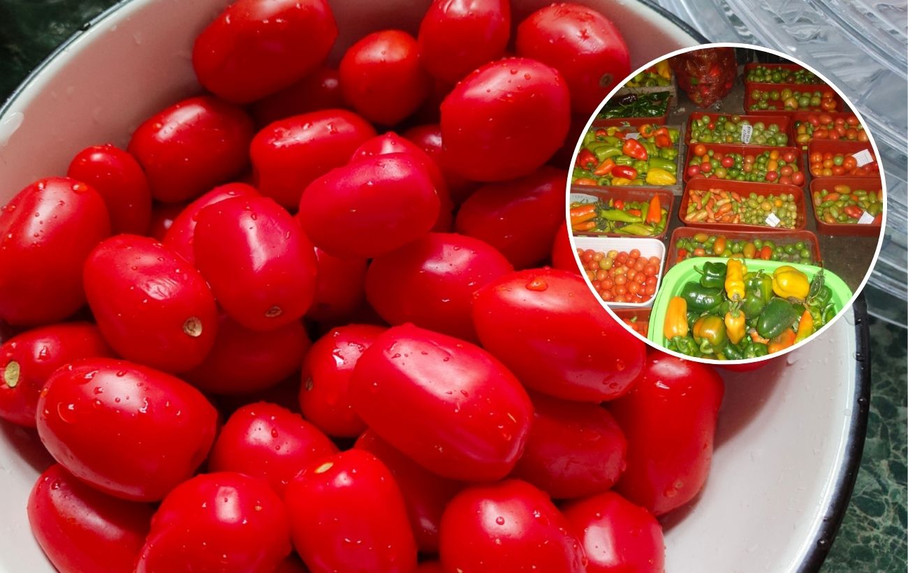 Як зберігати помідори правильно