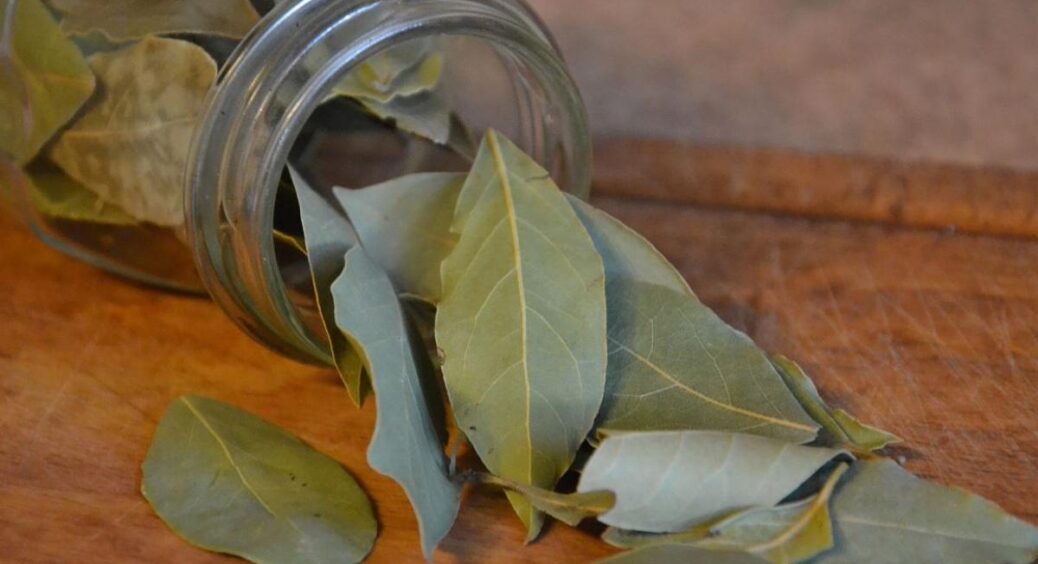 35 років не була забобонна, а тепер лавровий лист лежить і під килимком, і у шафі: старий і робочий метод 