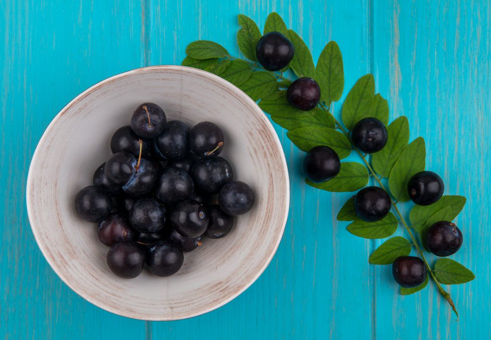 Господині поділилися рецептом зимового зберігання горобини