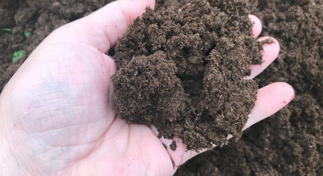 Хто б міг подумати: ця “штука” працює краще за золу й гній у 5 разів – посипте грядки цим у листопаді 