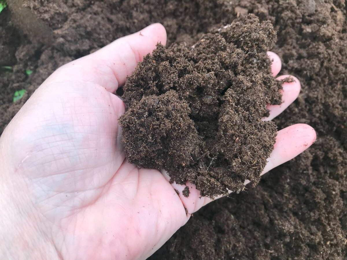 Городники розповіли, чим підживити грядки у листопаді на перспективу