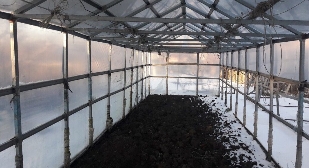 Сидерати не зійшли, а теплиця порожня: бабуся вчила, щоб ґрунт ожив, треба розкласти шкірки гарбуза по землі 