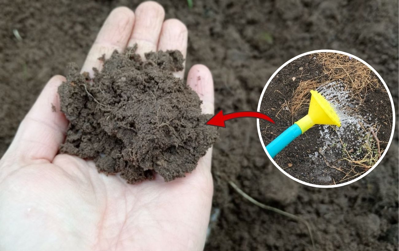 Чим обробити ґрунт, аби він не був твердим