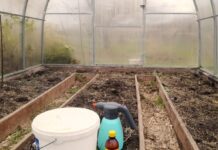 98% дачників роблять помилку: цим 1 засобом не можна обробляти теплицю з полікарбонату, бо їй буде “кришка” Чим не можна обробляти теплицю з полікарбонату