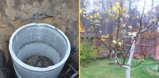 Як висушити вигрібну яму