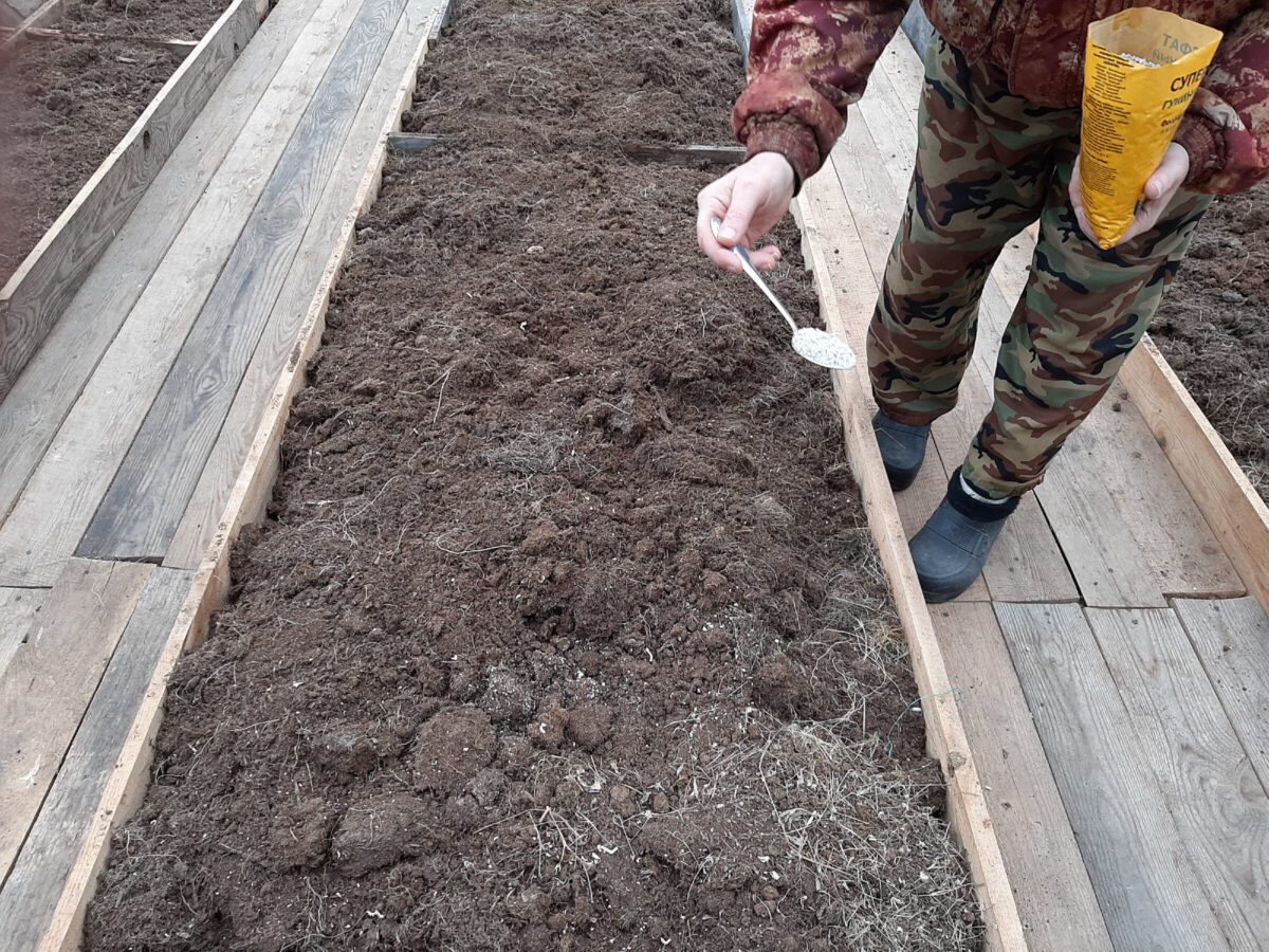 Експерти назвали основні помилки в осінньому догляді за городом, які допускають дачники