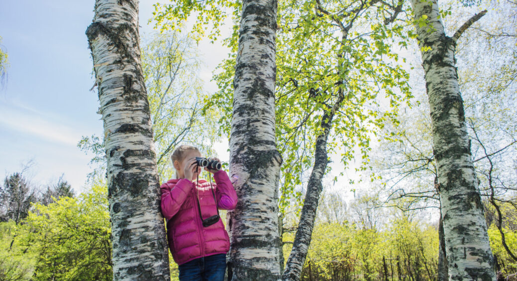86-річна бабуся розповіла, що означає, якщо листя берези не опало в жовтні: важлива народна прикмета 