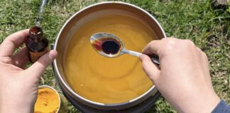 Городники розповіли, як у листопаді зробити профілактику фітофтори на наступний сезон