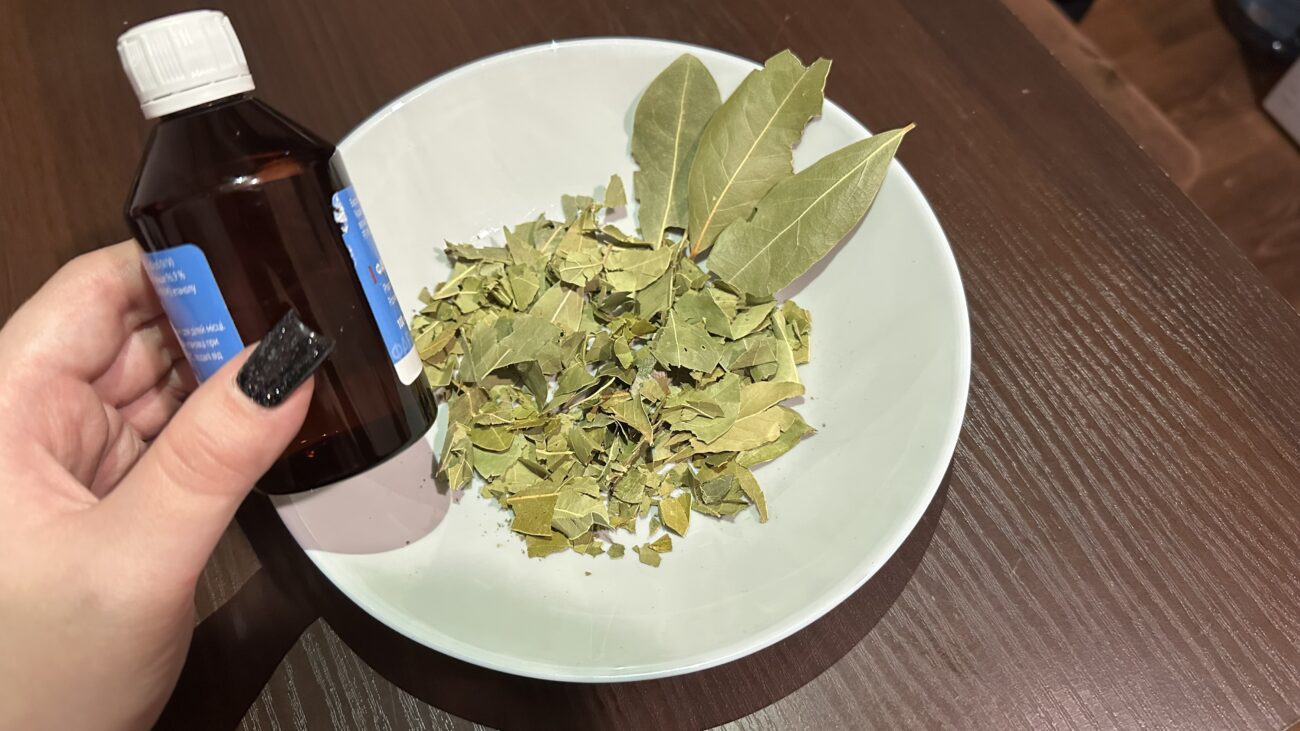 Господині розповіли, навіщо заливати свіжий лавровий лист спиртом Господині розповіли, навіщо заливати свіжий лавровий лист спиртом