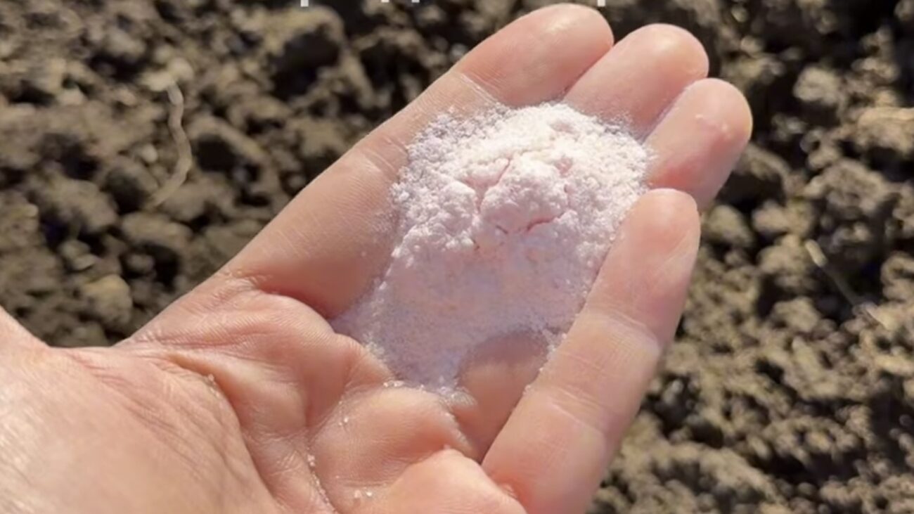 Городники розповіли, який засіб зробить у теплиці ґрунт пухким і родючим 