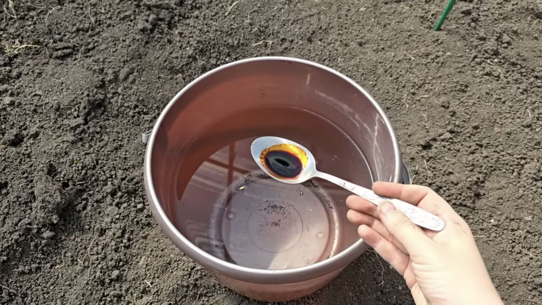 Городники розповіли, як приготувати розчин для знезараження ґрунту