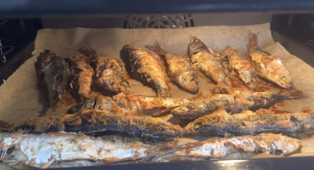 Ця риба у 5 разів дешевша за червону, але в 10 разів корисніша: ось 2 простих рецепти для вечері 