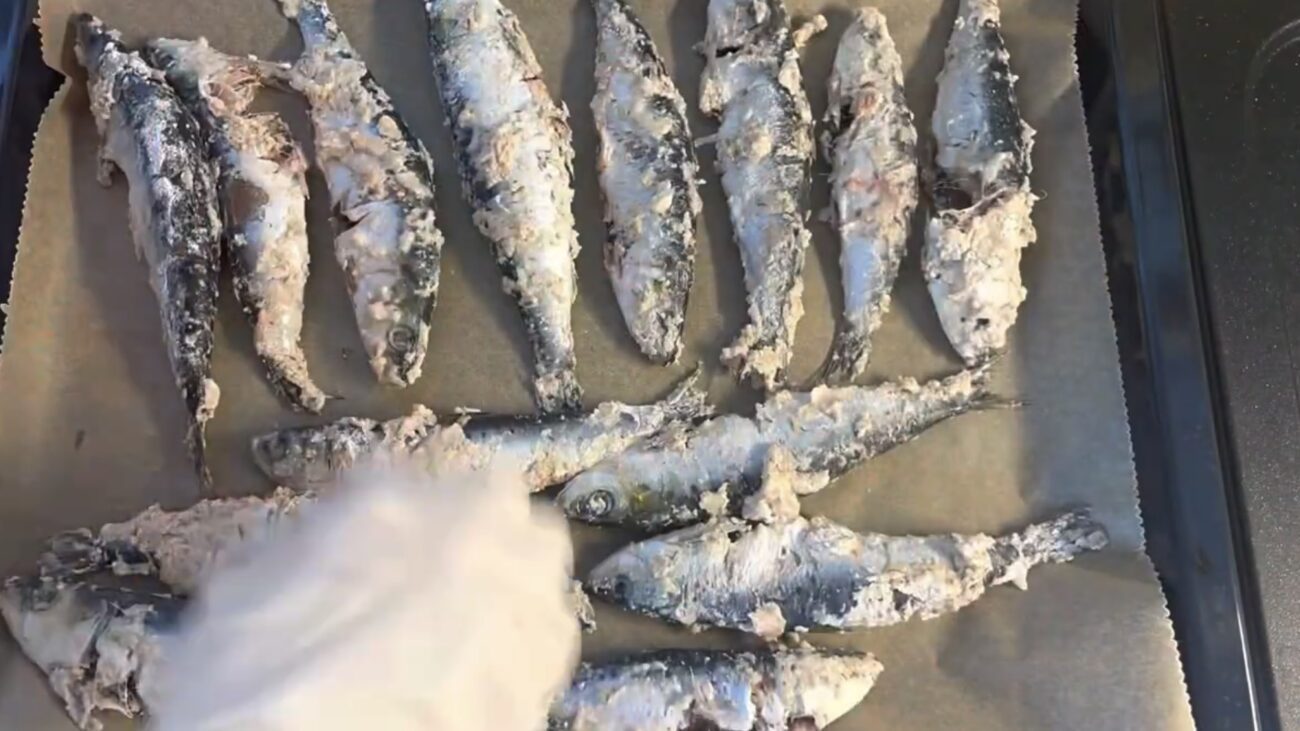 Господині розповіли, яка риба дешевша за скумбрію, але корисніша за лосось Господині розповіли, яка риба дешевша за скумбрію, але корисніша за лосось