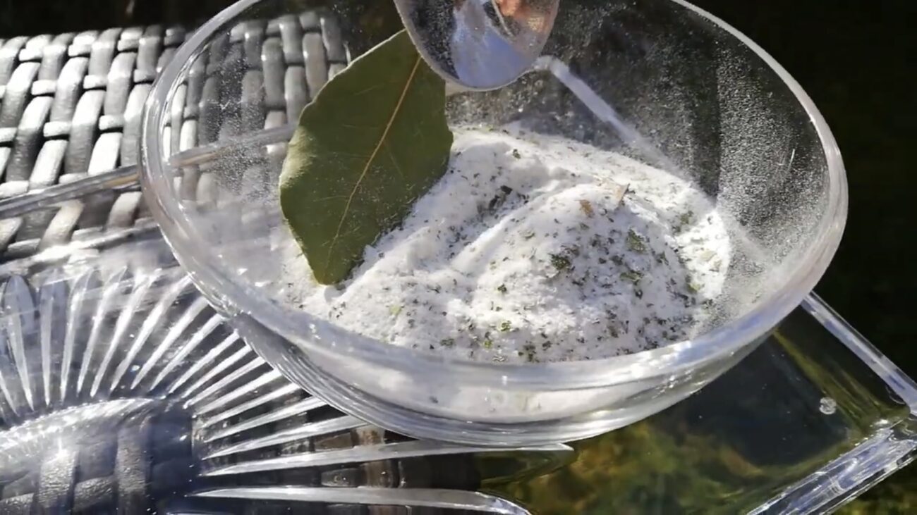 Господині розповіли, навіщо класти лавровий лист у сіль 