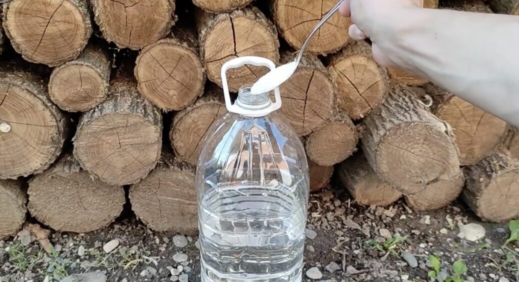 “Годую” перед морозами компост і збільшую вміст азоту в 4 рази: жодних хімічних активаторів — все натуральне 