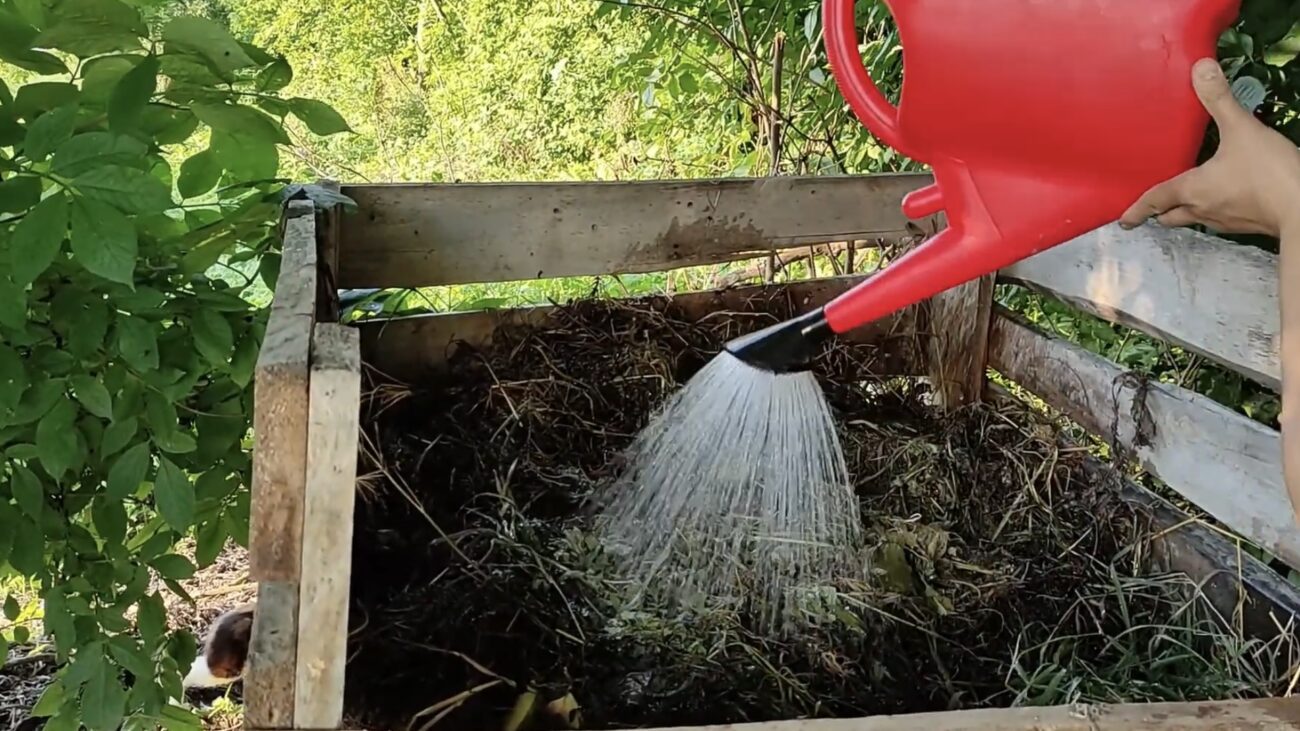 Городники розповіли, чим полили компост для кращого дозрівання 