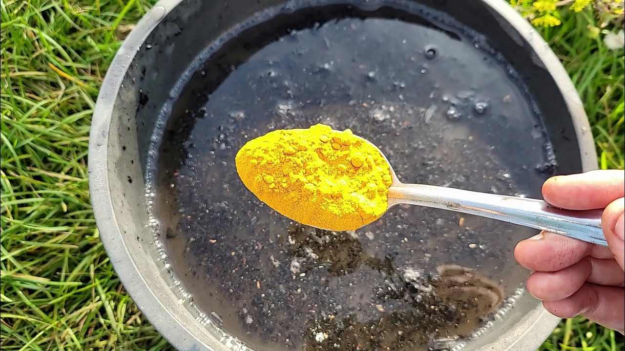 Городники розповіли, яка спеція допоможе очистити город від фітофтори 