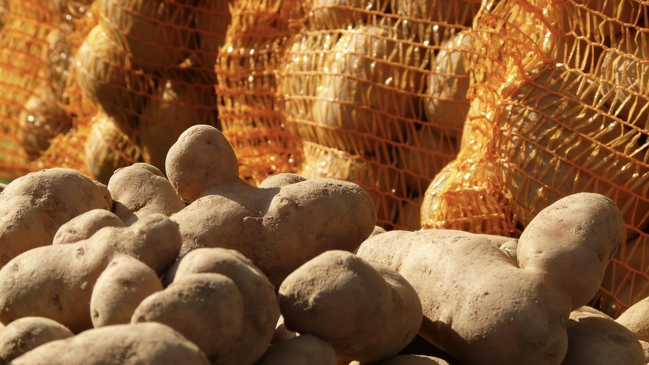 Городники розповіли, що покласти у мішок з картоплею для кращого зберігання 