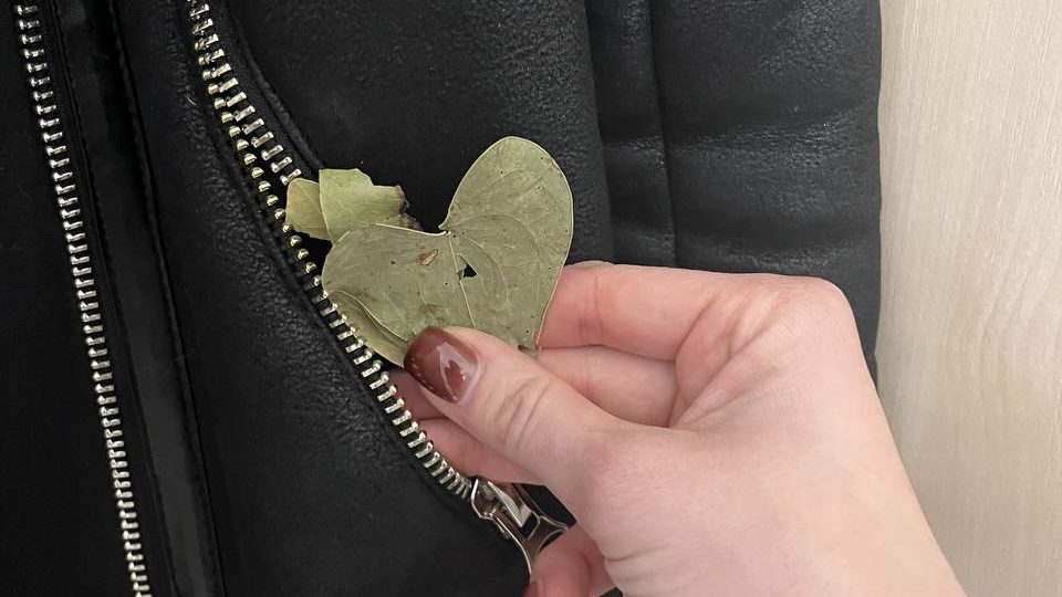 Господині розповіли, навіщо класти лавровий лист у взуття 