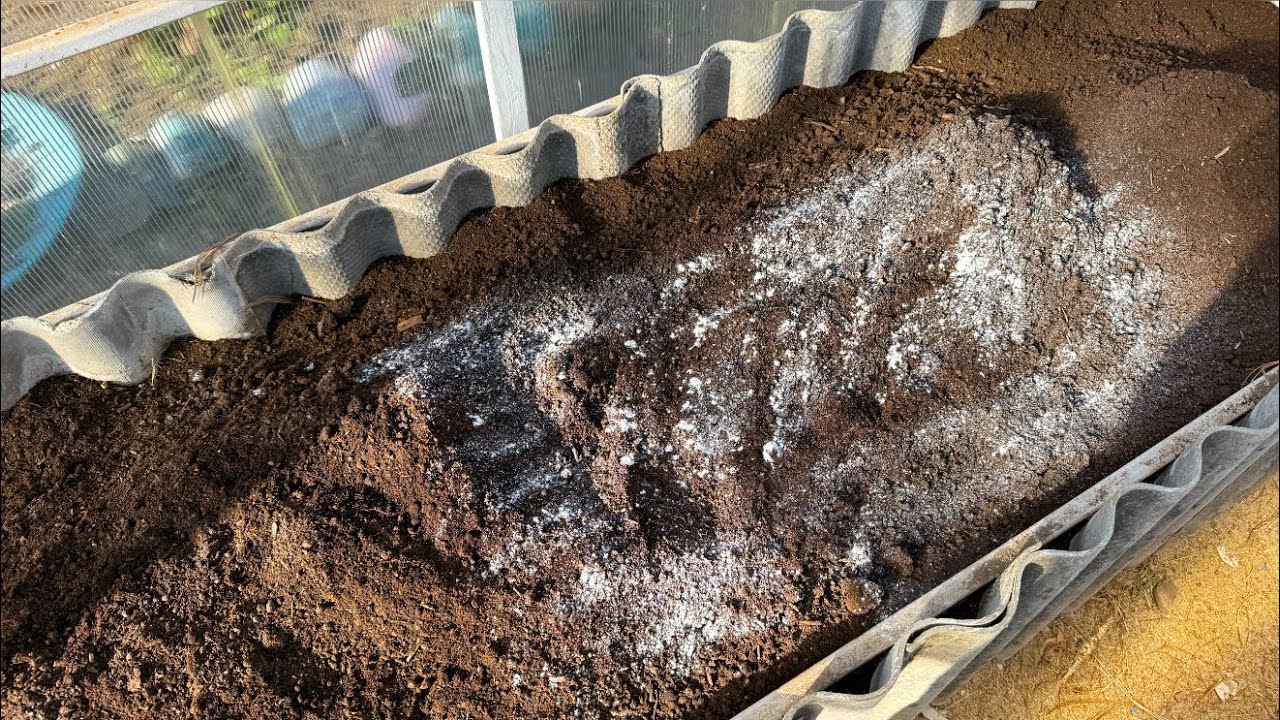 Городники розповіли, яке добриво зробить ґрунт поживним без перегною