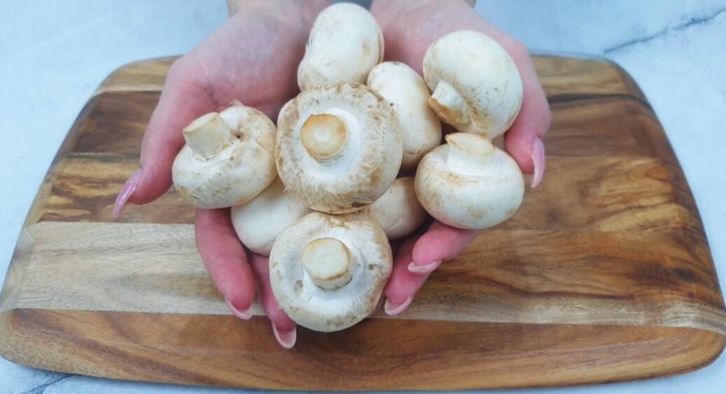 Висаджую печериці у звичайну миску з ґрунтом – і через 5 днів маю свіжі гриби: 1 пакетик чаю творить диво 